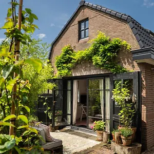 https://guesthouse-rotterdam-knus-tinyhouse-dichtbij-kralingen.zandvoort-hotels.com